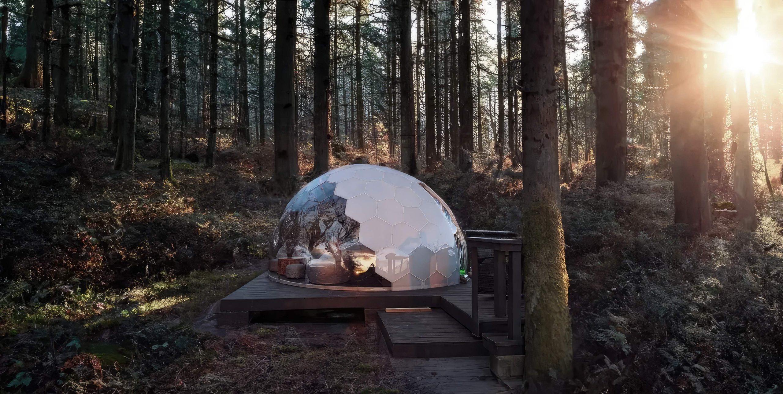 Glamping Dome nestled in the woods of West Virginia